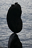 Steinmännchen 439